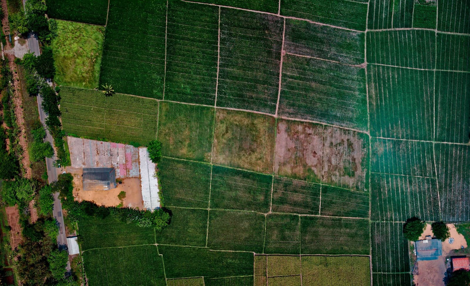 Top-down aerial view of surveyed land parcels and fields